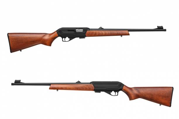 Carabine 22 LR 