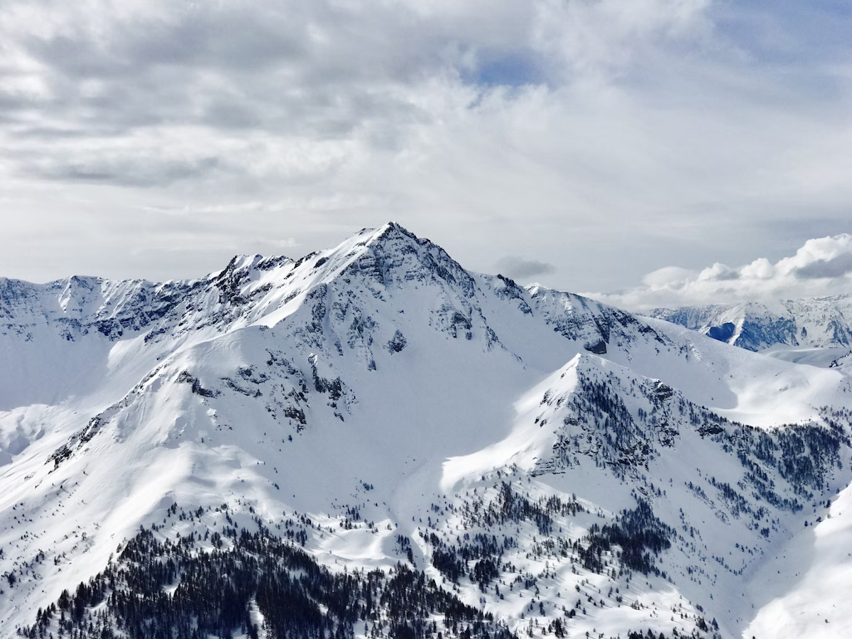 Auron points de vue