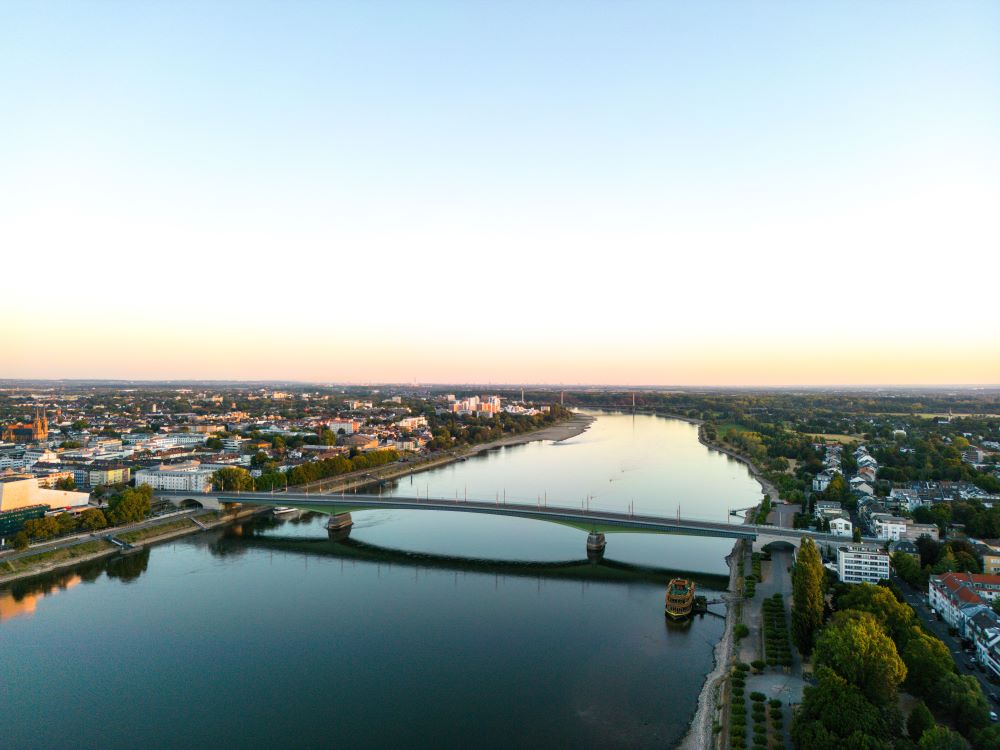 Rhin