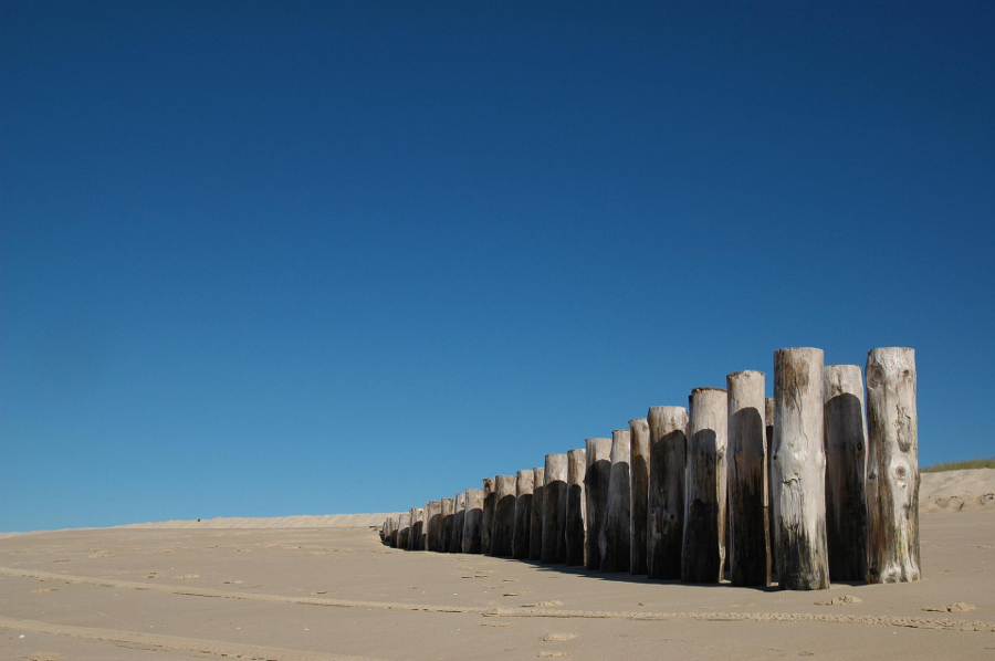 cap ferret