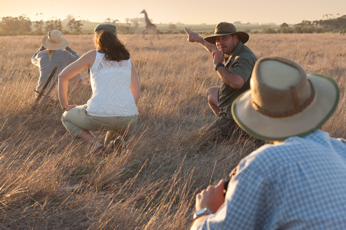 destinations safari