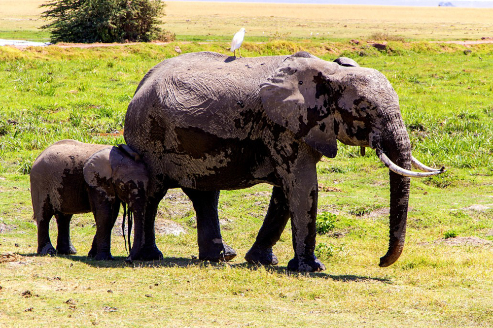 endroit d'Afrique