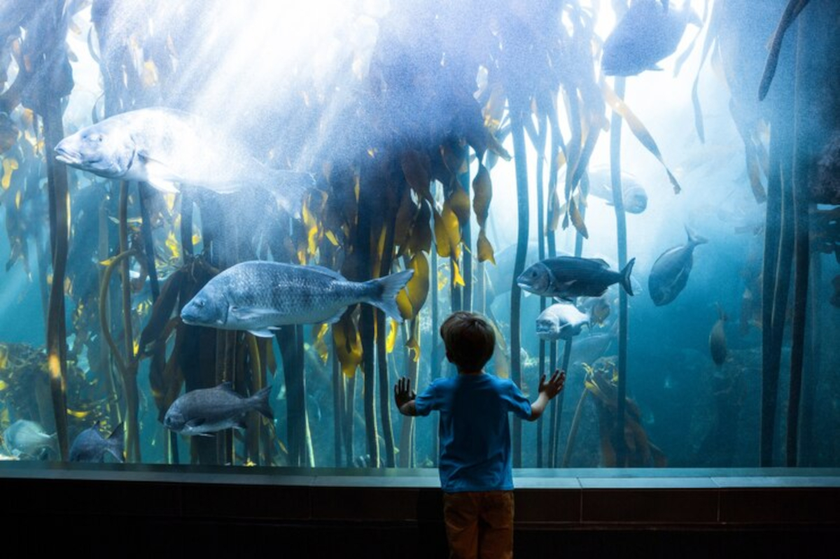 entrée Aquarium Paris