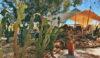 jock safari lodge