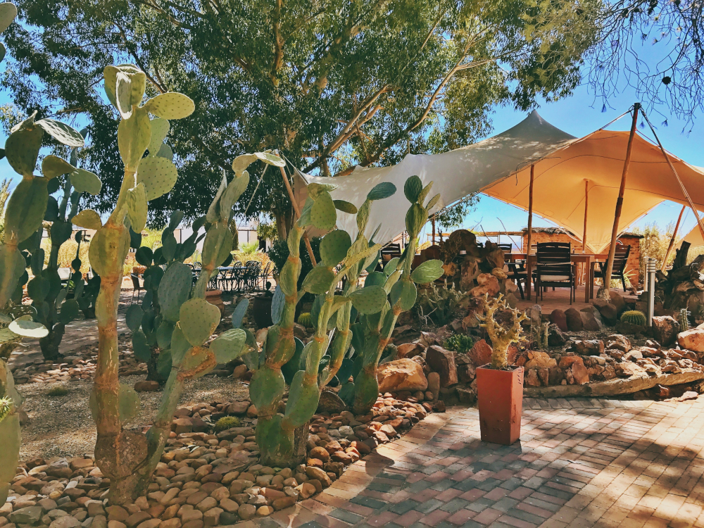 jock safari lodge