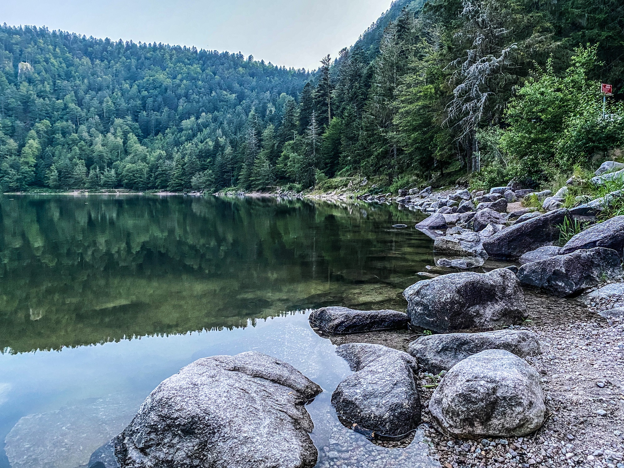 Les Vosges