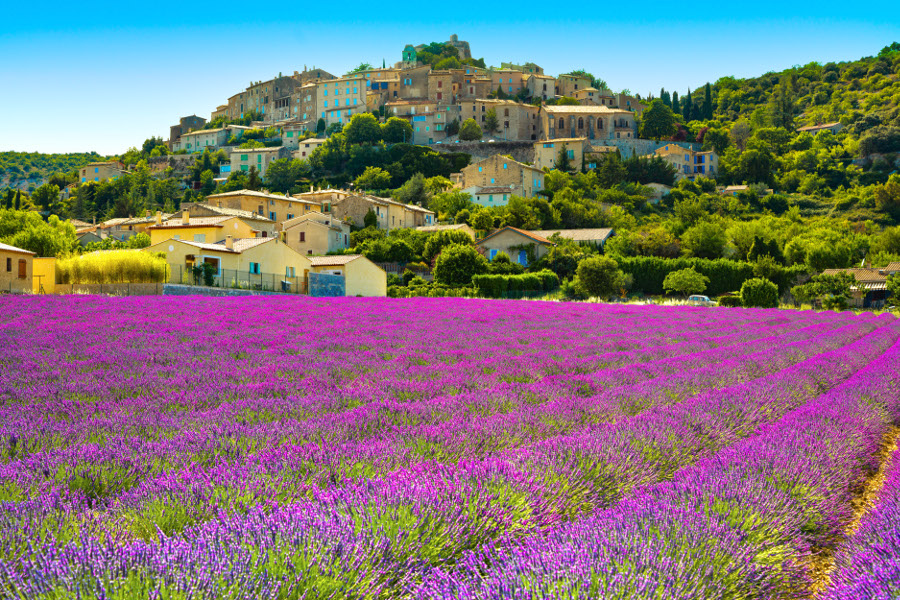 provence