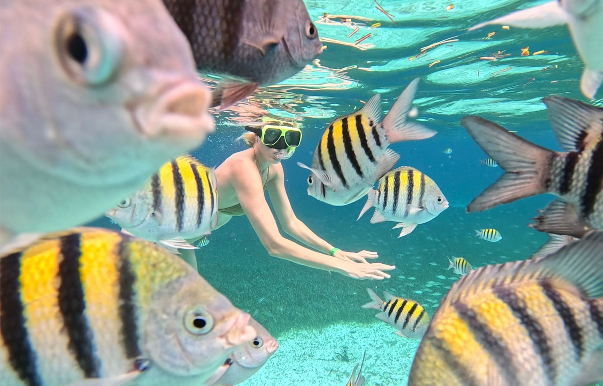 snorkeling