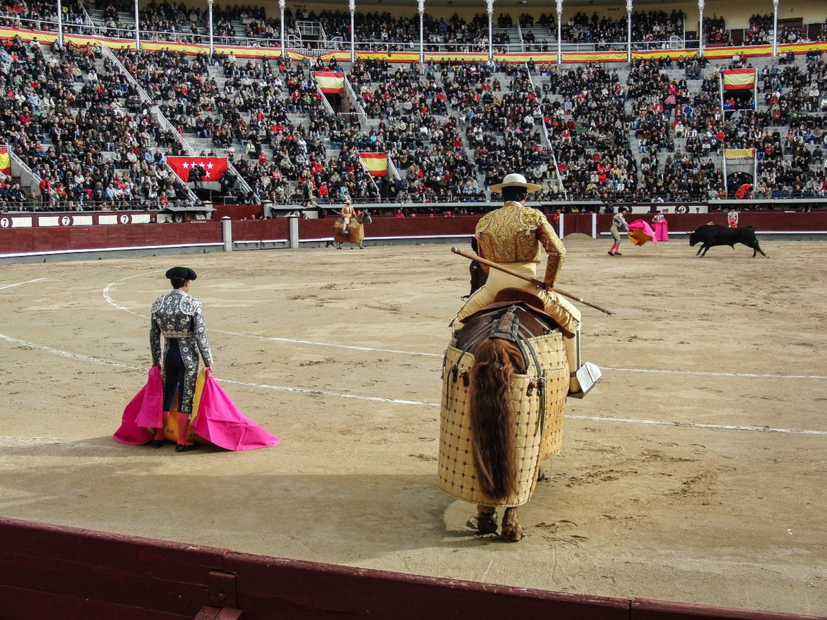 taureau espagne