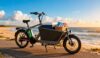 vélo cargo électrique
