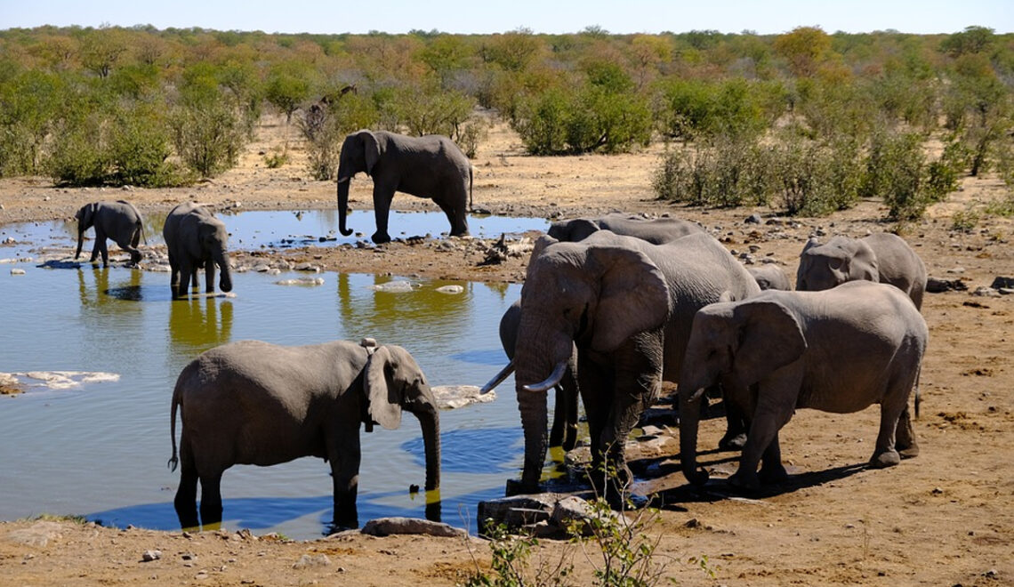 voyage Namibie