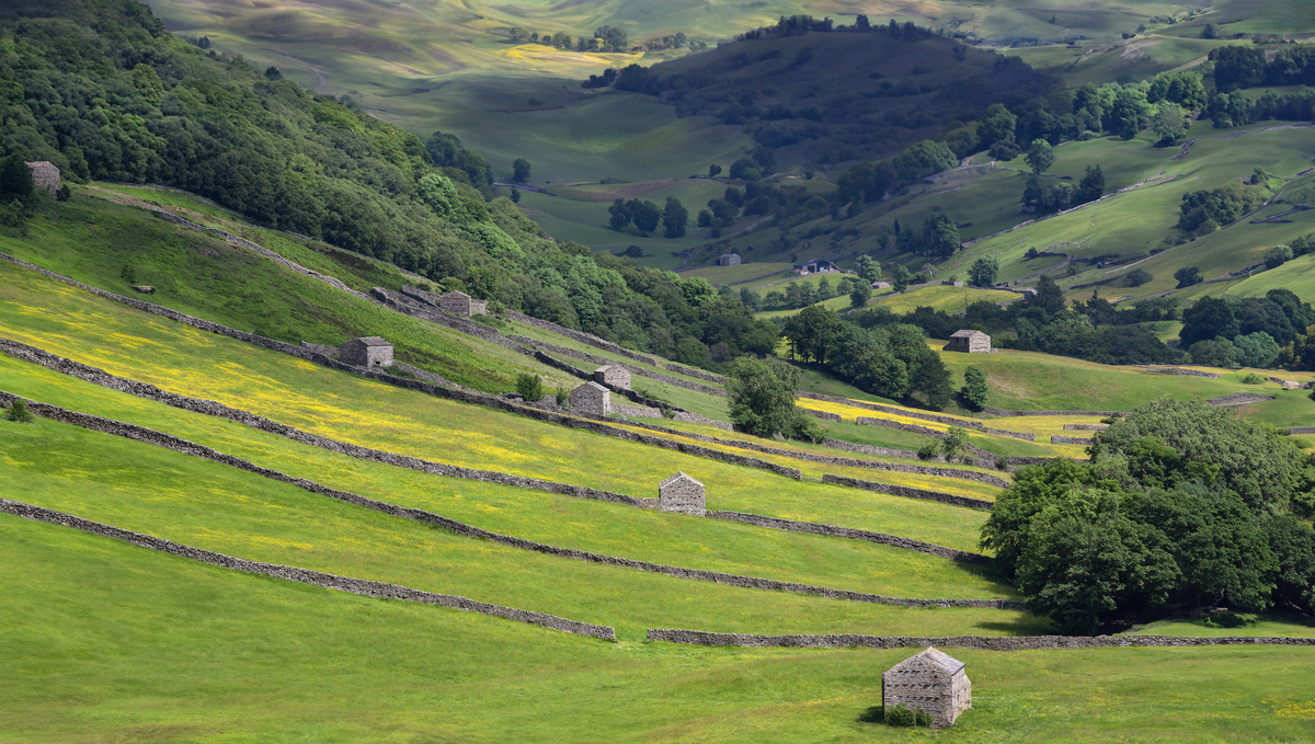 voyage en Angleterre