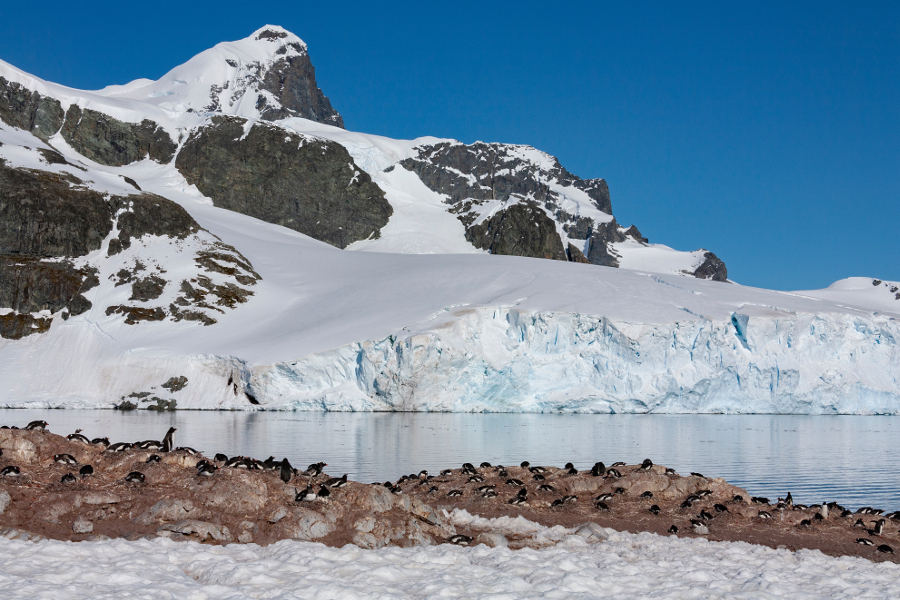 voyage antarctique